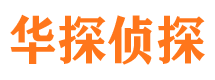 翠峦市私家侦探